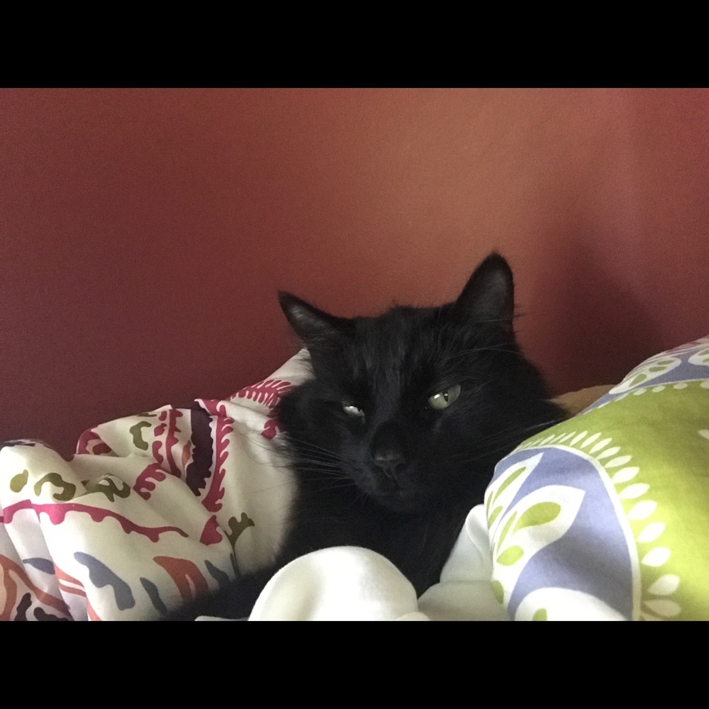 Meet your Posher, Kaye